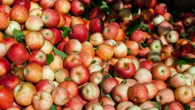 Filière Pommes & Poires : une lueur d’espoir à l’horizon