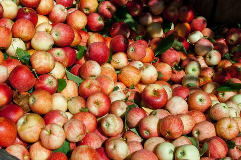 Filière Pommes & Poires : une lueur d’espoir à l’horizon