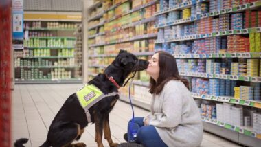 Une femme épileptique se voit refuser l’entrée d’un magasin Lidl en raison de la présence de son chien d’assistance